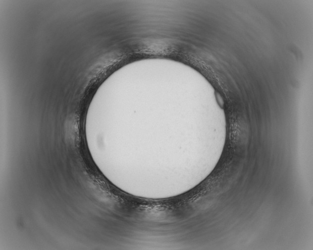 X0000110920688200907301603