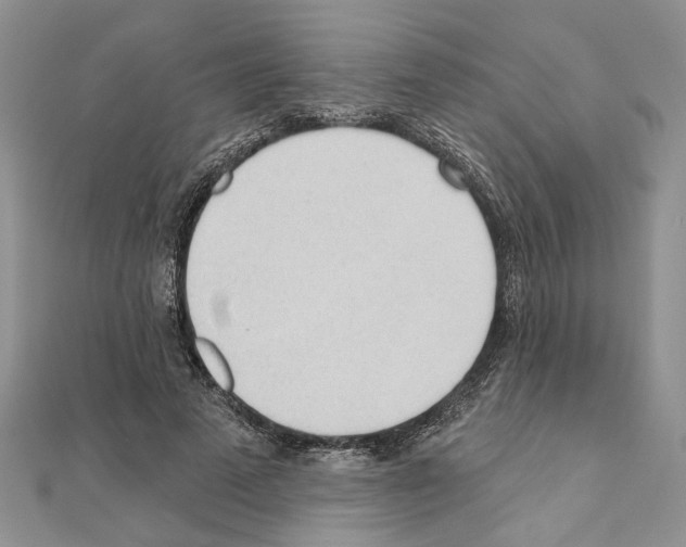 X0000110920689200907301603