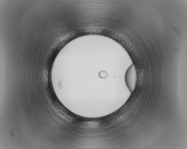 X0000110920692200907301603