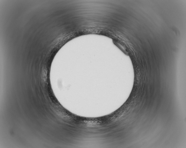 X0000110920693200907301603