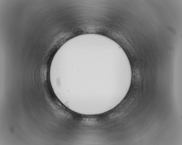 X0000110920694200907301603