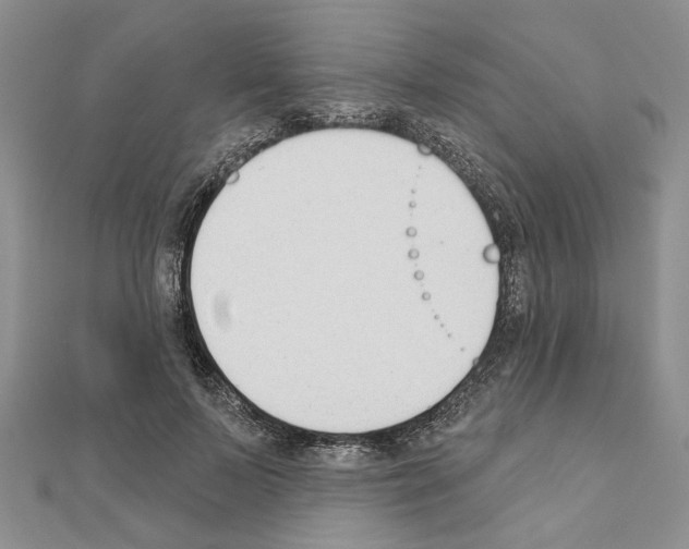 X0000110920695200907301603