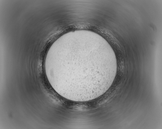 X0000110920696200907301603