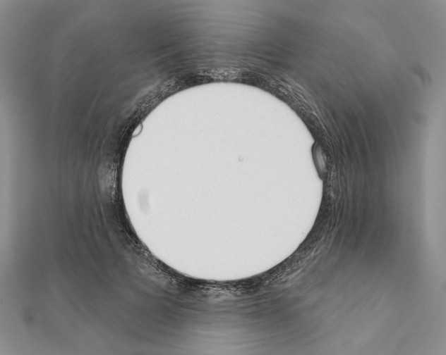 X0000110920697200907301603