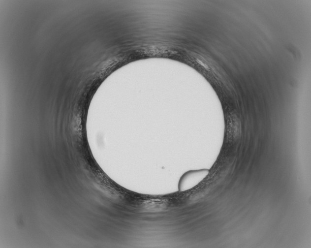 X0000110920700200907301603