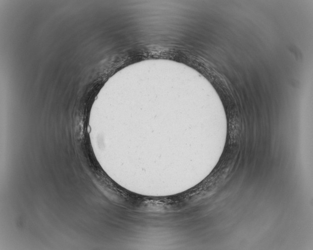 X0000110920703200907301602