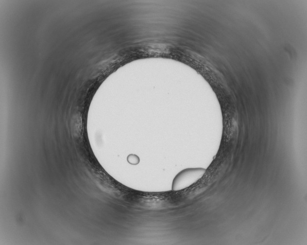 X0000110920704200907301602