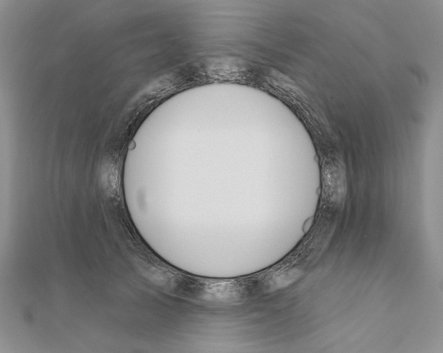 X0000110920705200907301602
