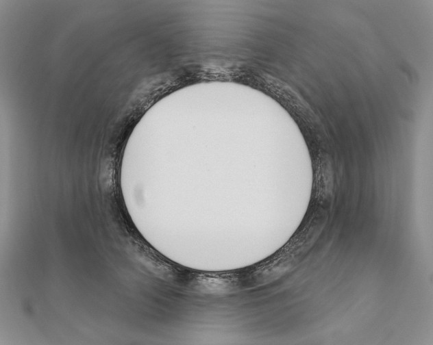X0000110920706200907301602