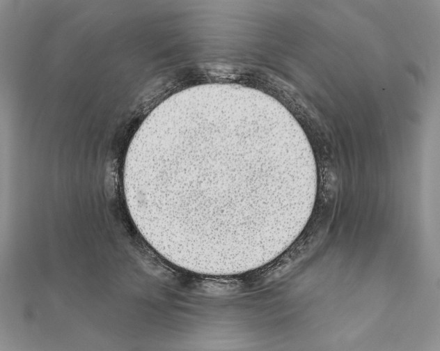 X0000110920707200907301602