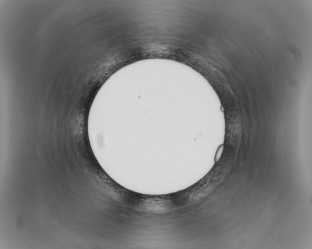X0000110920708200907301602