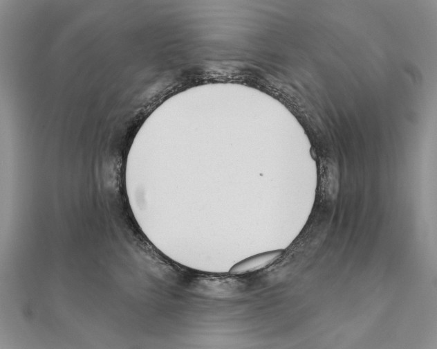 X0000110920712200907301602