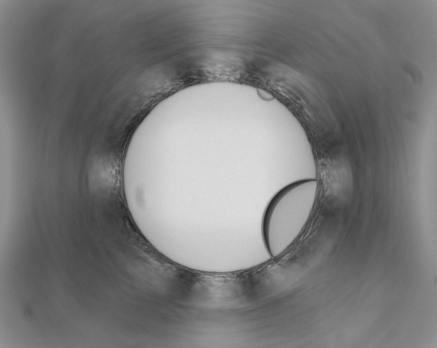 X0000110920713200907301602