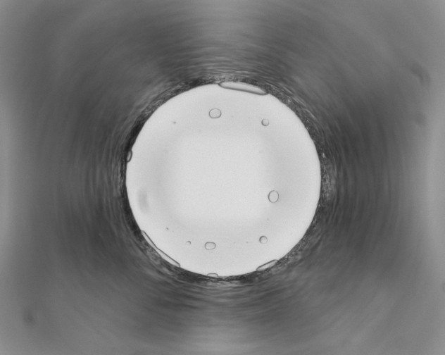 X0000110920716200907301602