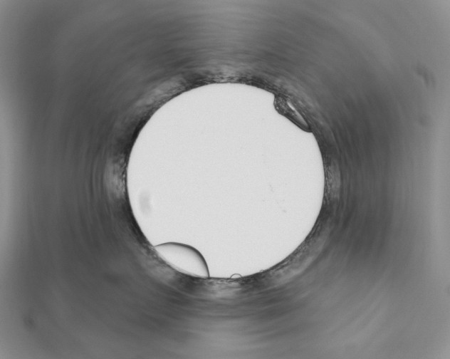 X0000110920719200907301602