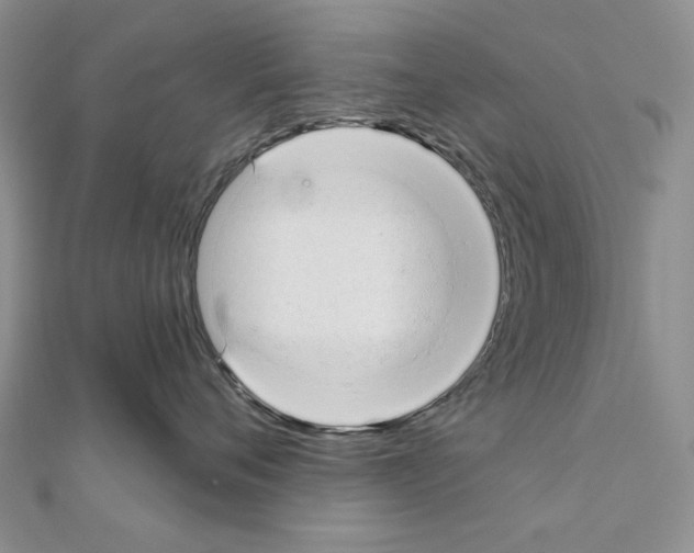 X0000110920720200907301602