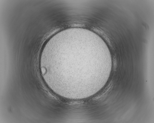 X0000110920721200907301602