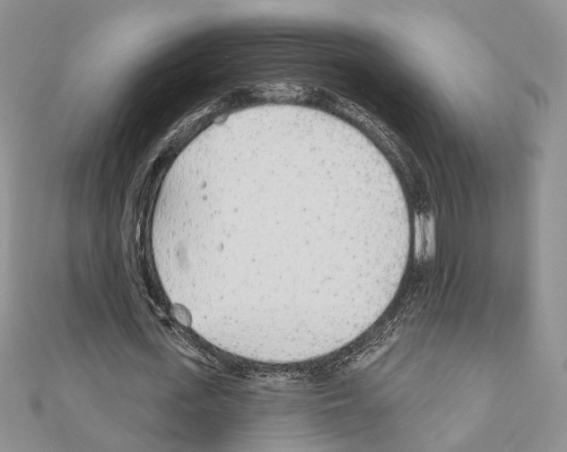 X0000110920723200907301602