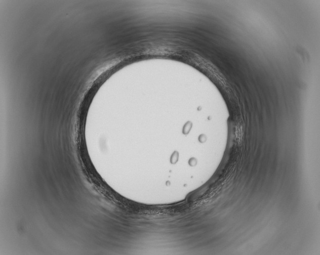 X0000110920724200907301602