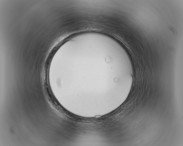 X0000110920726200907301602