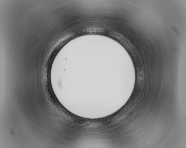 X0000110920727200907301602