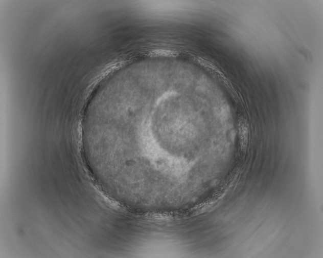 X0000110920729200907301602
