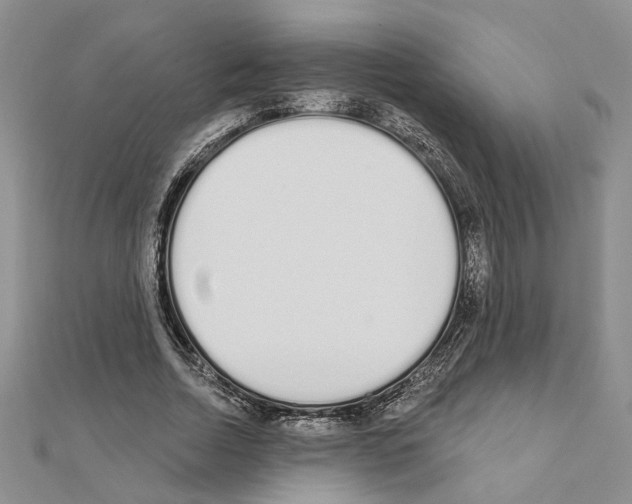 X0000110920730200907301602