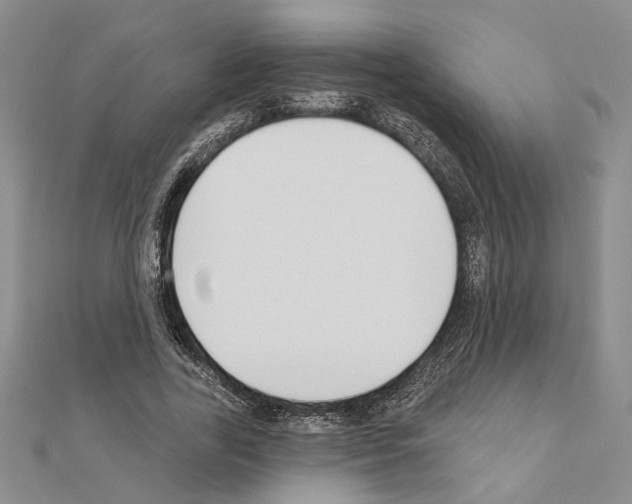 X0000110920731200907301602