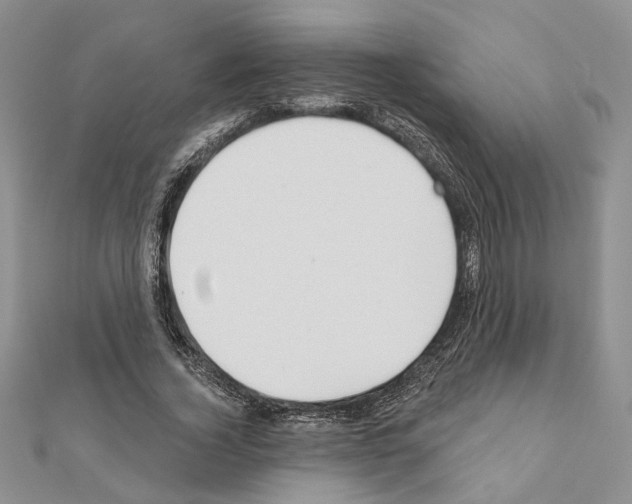 X0000110920732200907301602
