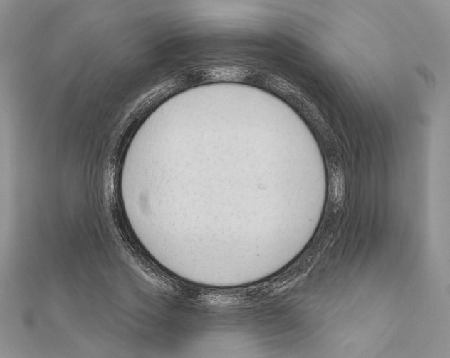 X0000110920733200907301602