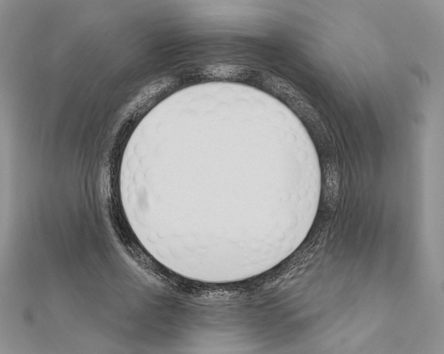 X0000110920734200907301602