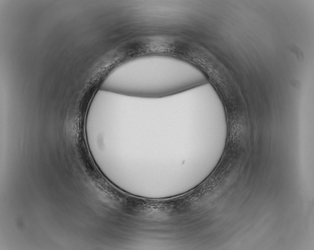 X0000110920736200907301602