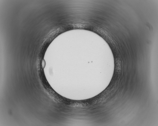 X0000110920738200907301602