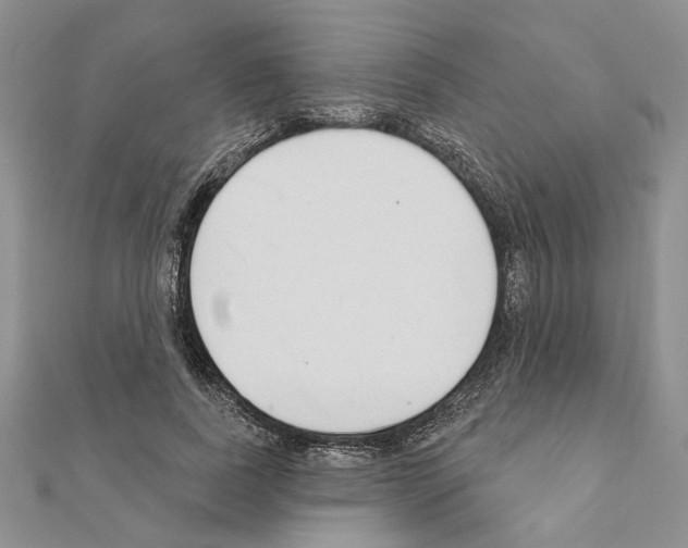 X0000110920739200907301602