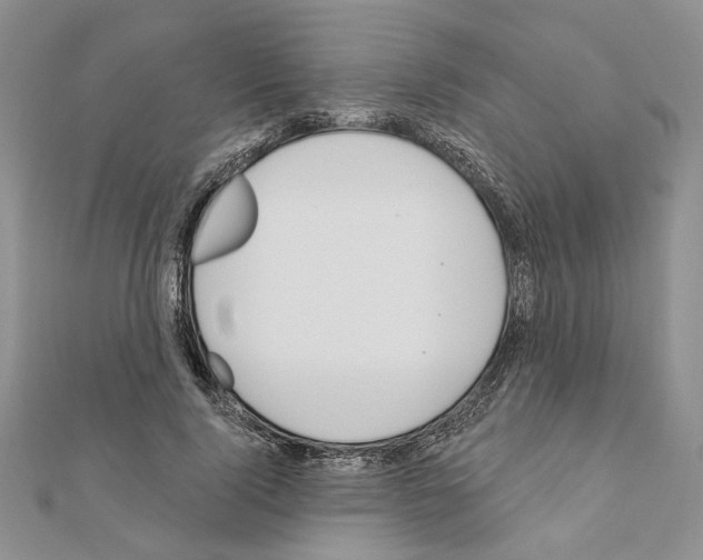 X0000110920740200907301602