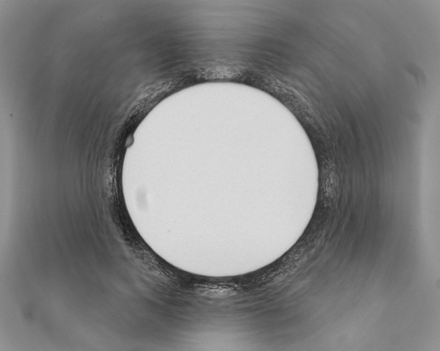 X0000110920743200907301602
