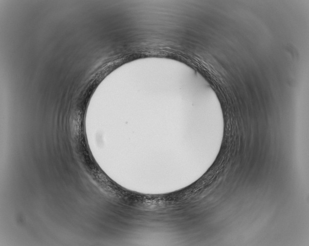 X0000110920744200907301602