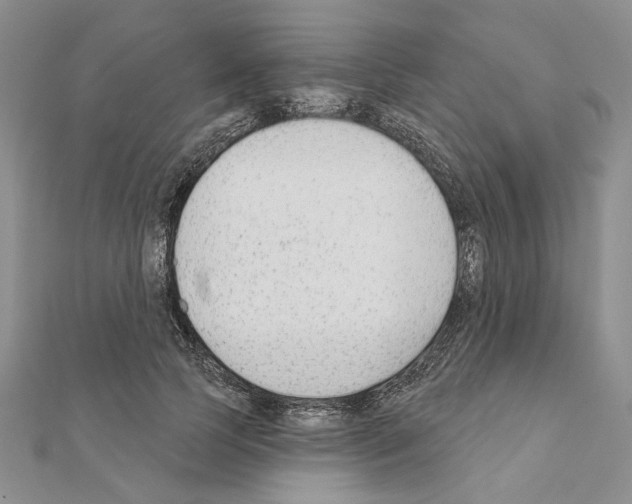 X0000110920745200907301602