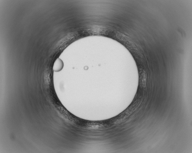 X0000110920746200907301602