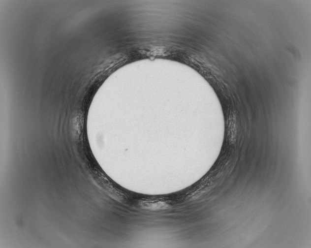 X0000110920747200907301602