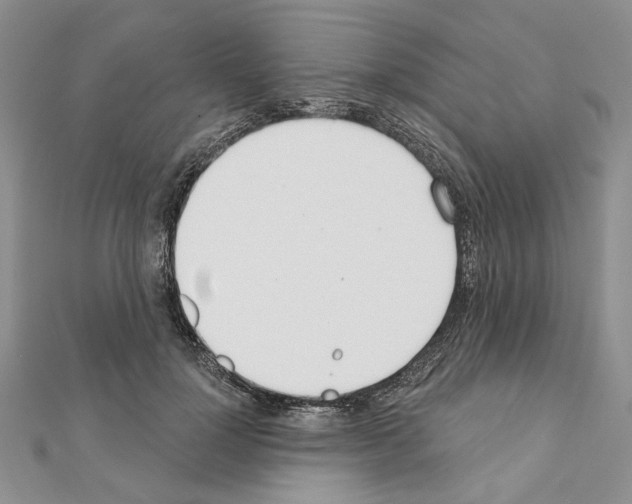 X0000110920748200907301602