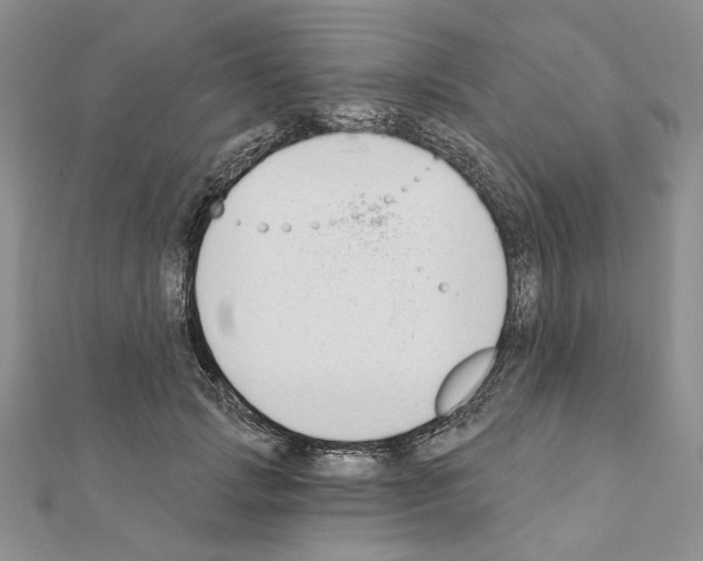 X0000110920749200907301602