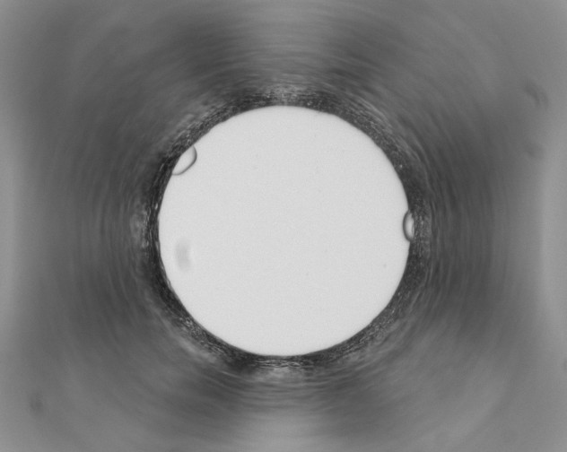 X0000110920750200907301602