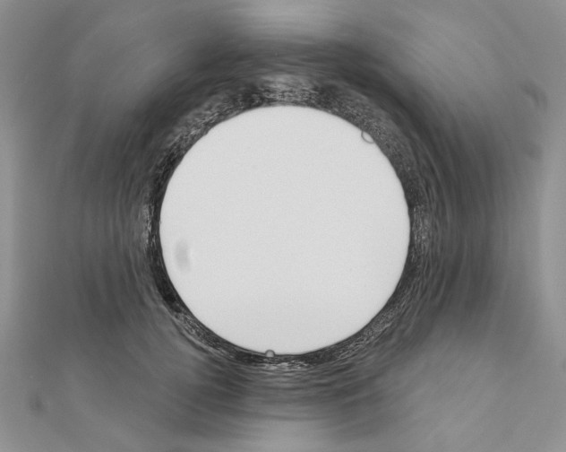 X0000110920752200907301602
