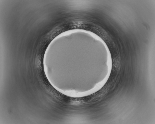 X0000110920754200907301602