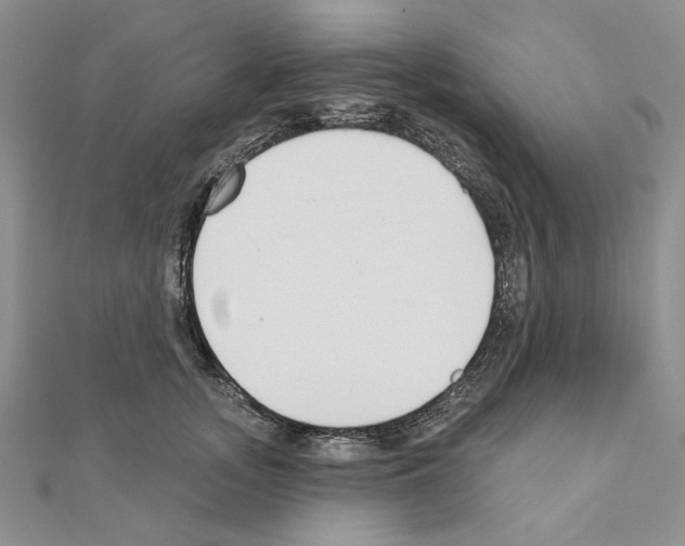X0000110920755200907301602