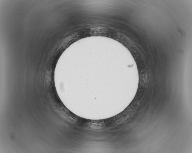 X0000110920756200907301602