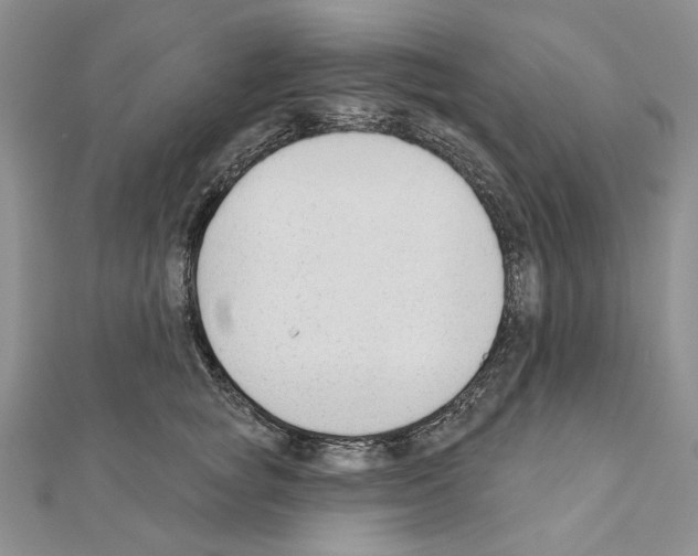 X0000110920757200907301602