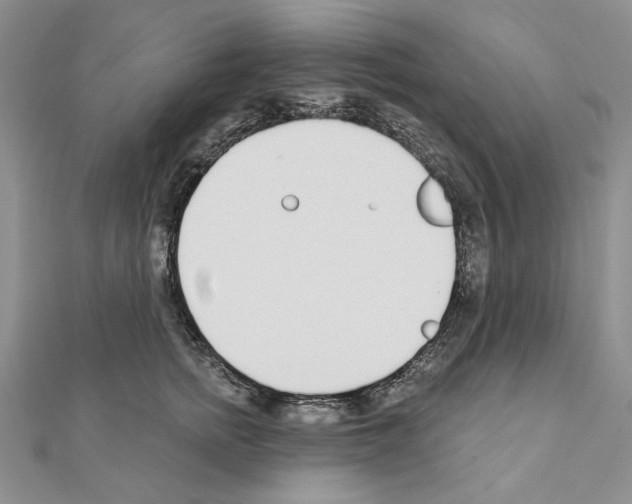 X0000110920758200907301602