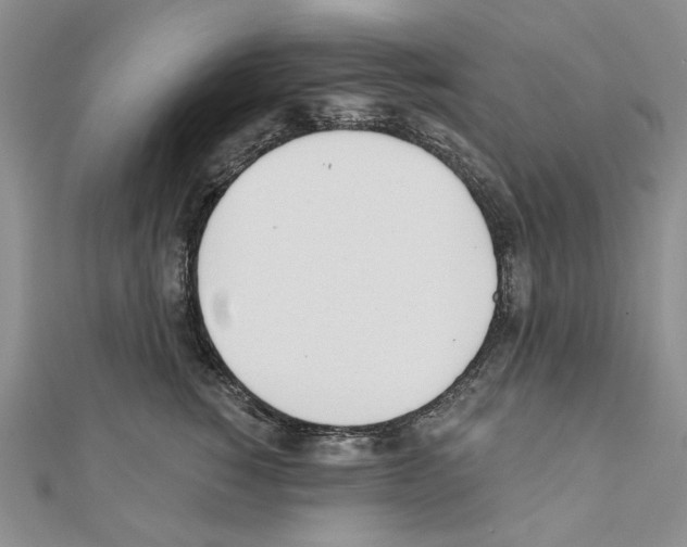 X0000110920760200907301602